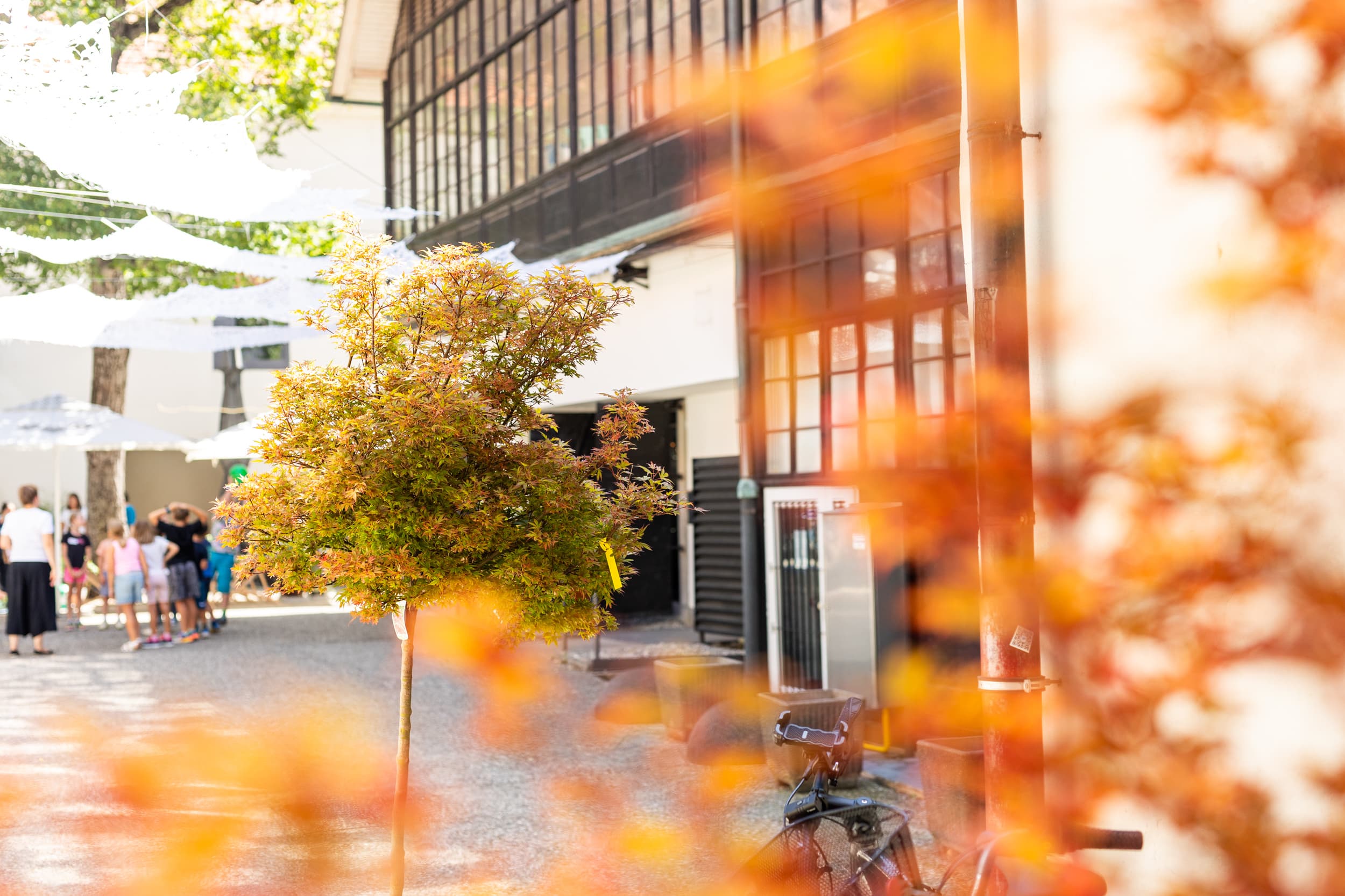 <p>A Courtyard That Breathes with the City: Vetrinjski Dvor</p>